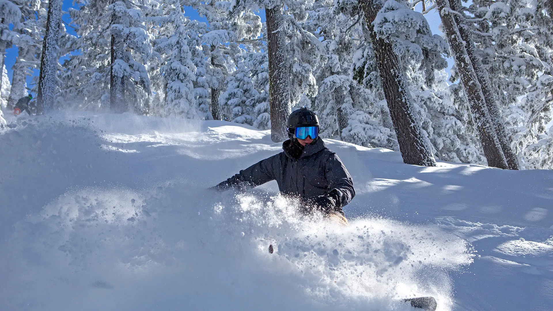 Snowboarder in the Trees off NW Chair