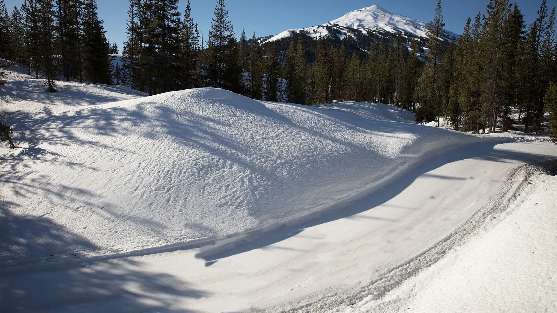 View from the Snowshoe Trails at Mt. Bachelor