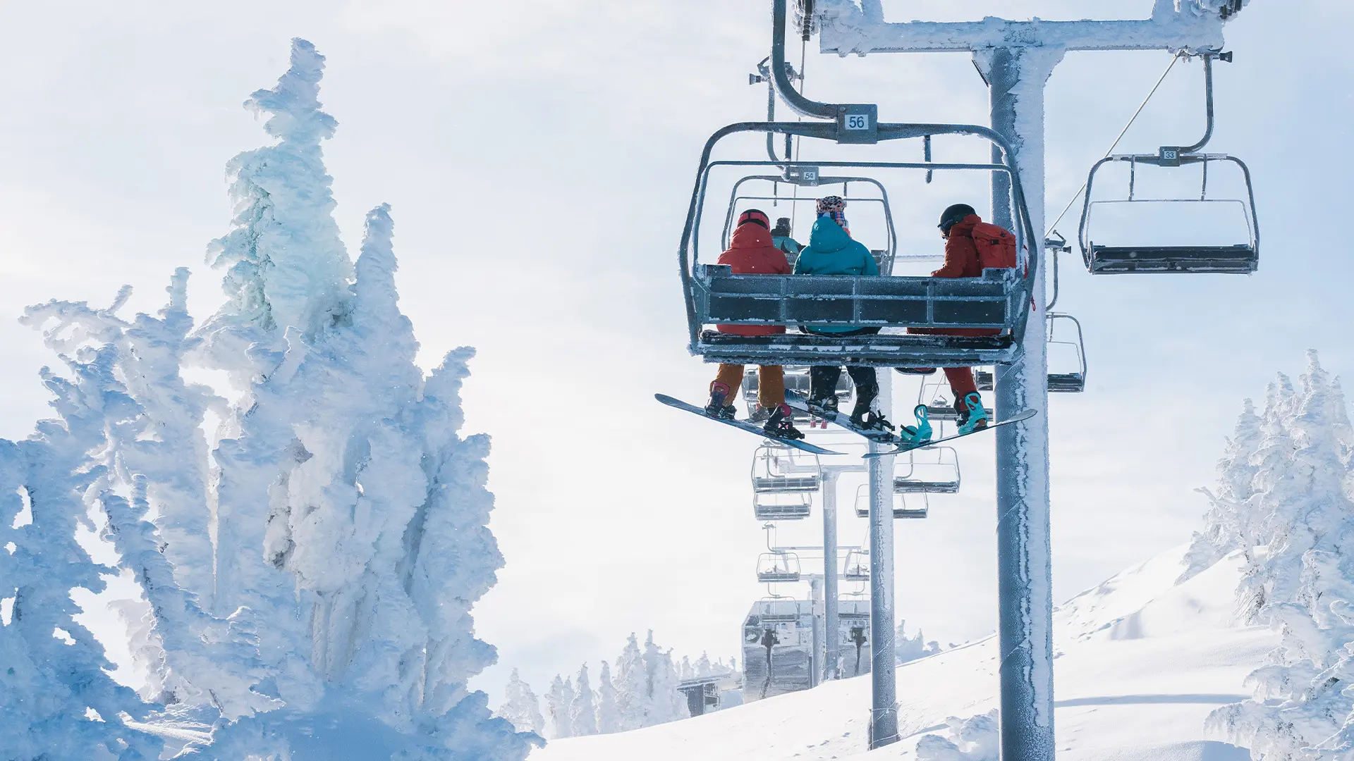 Pine Marten Express at Mt. Bachelor