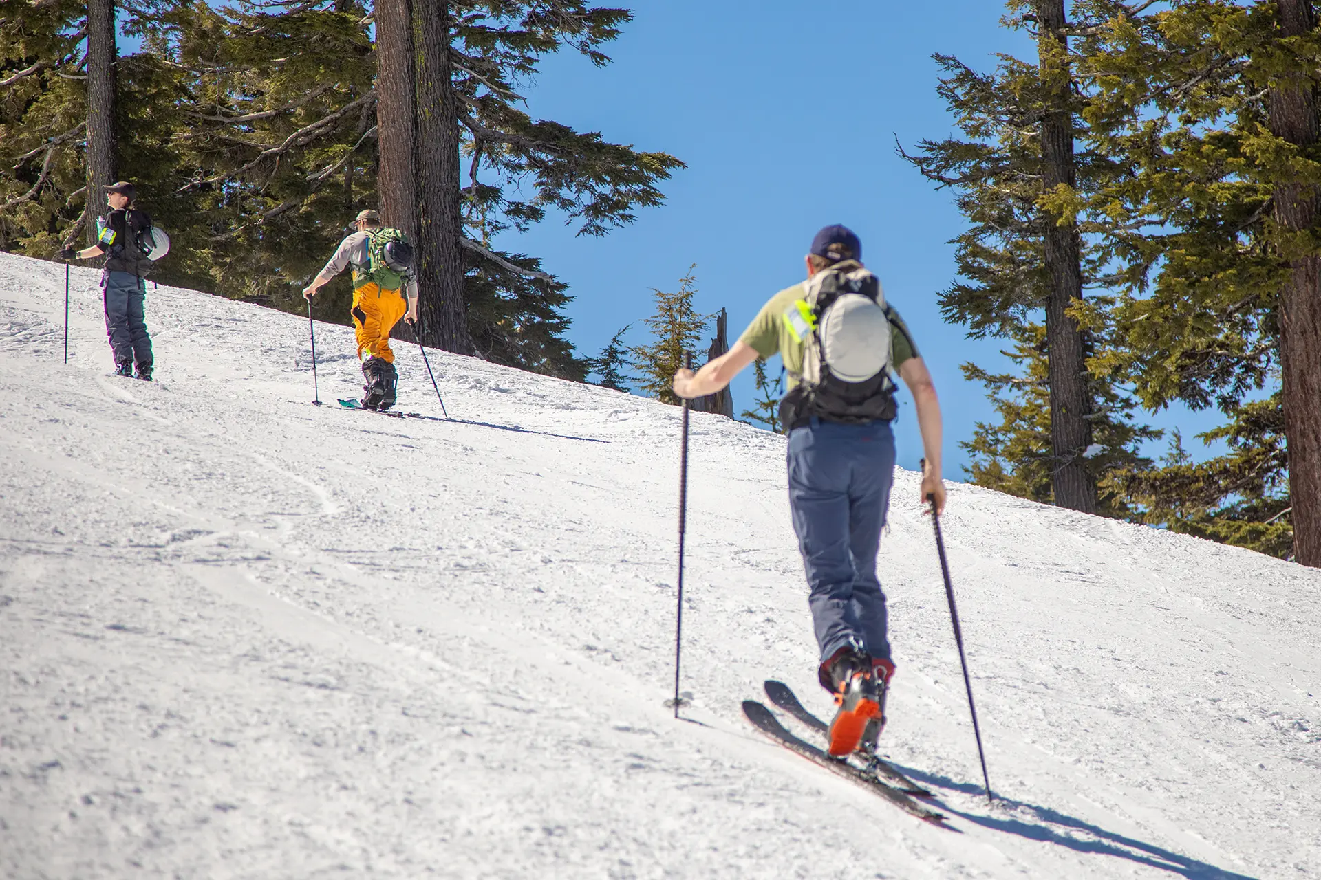 Uphill skiers at Mt. Bachelor