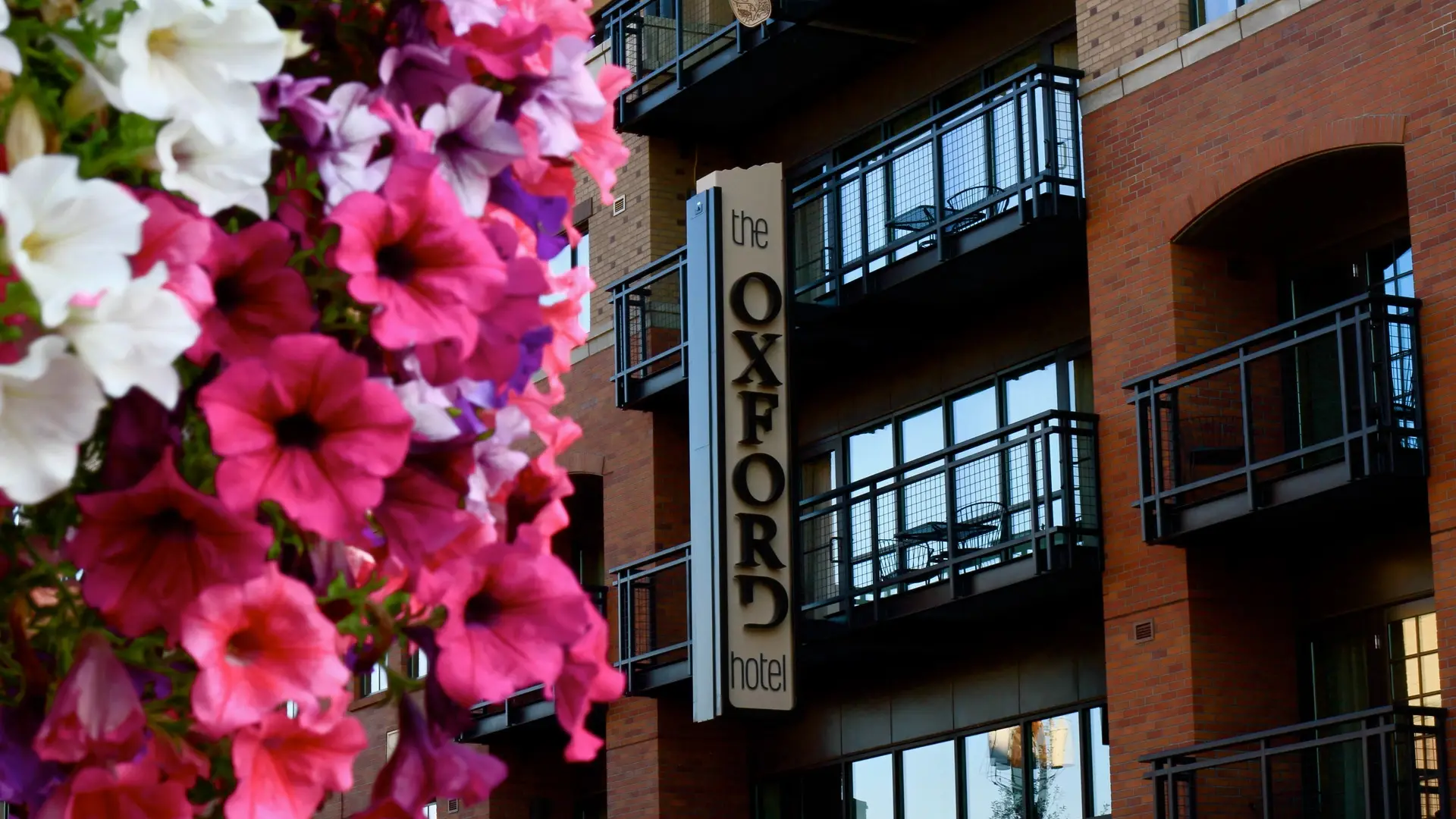 The Oxford Hotel