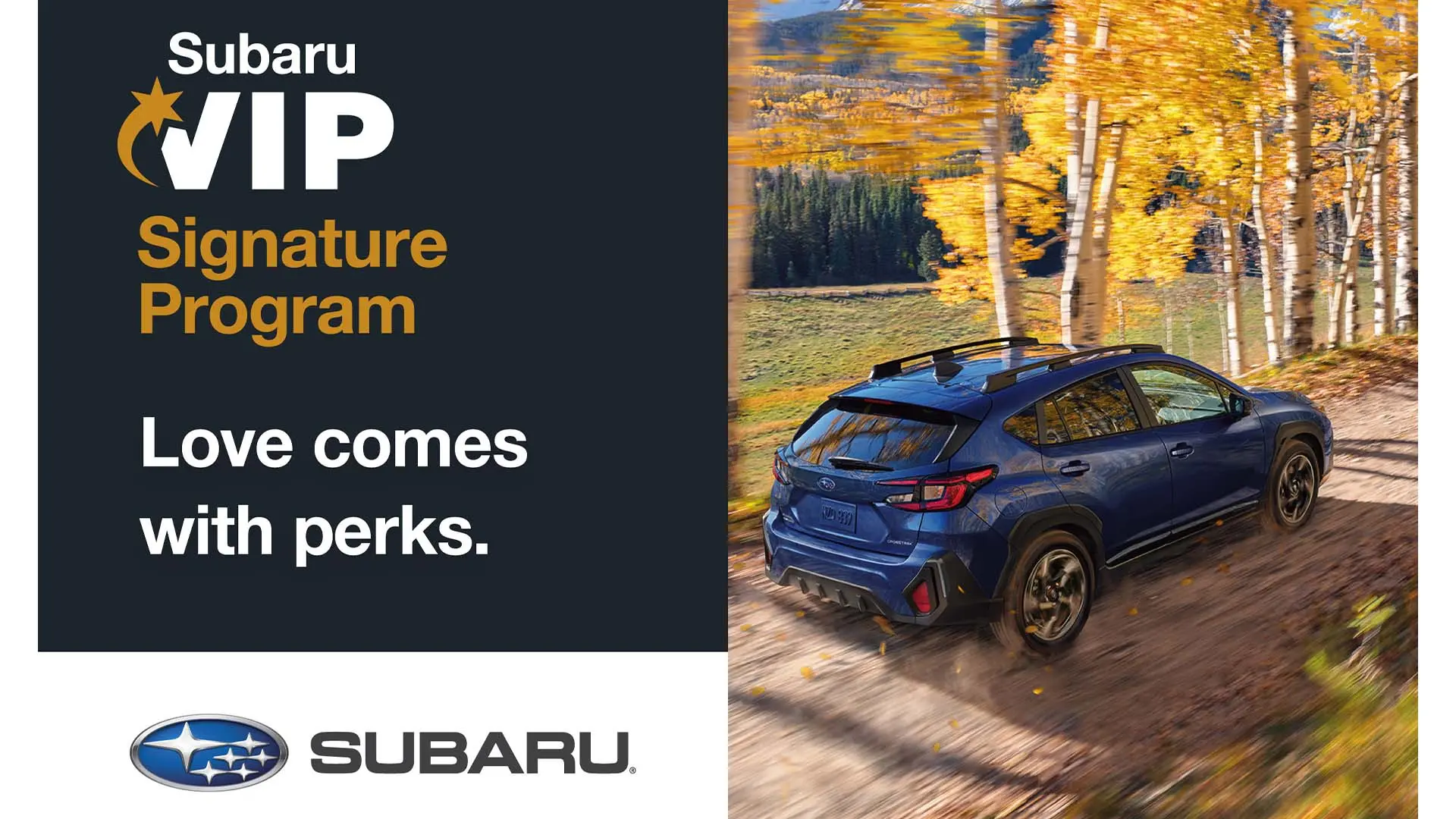 Subaru VIP Program Logo