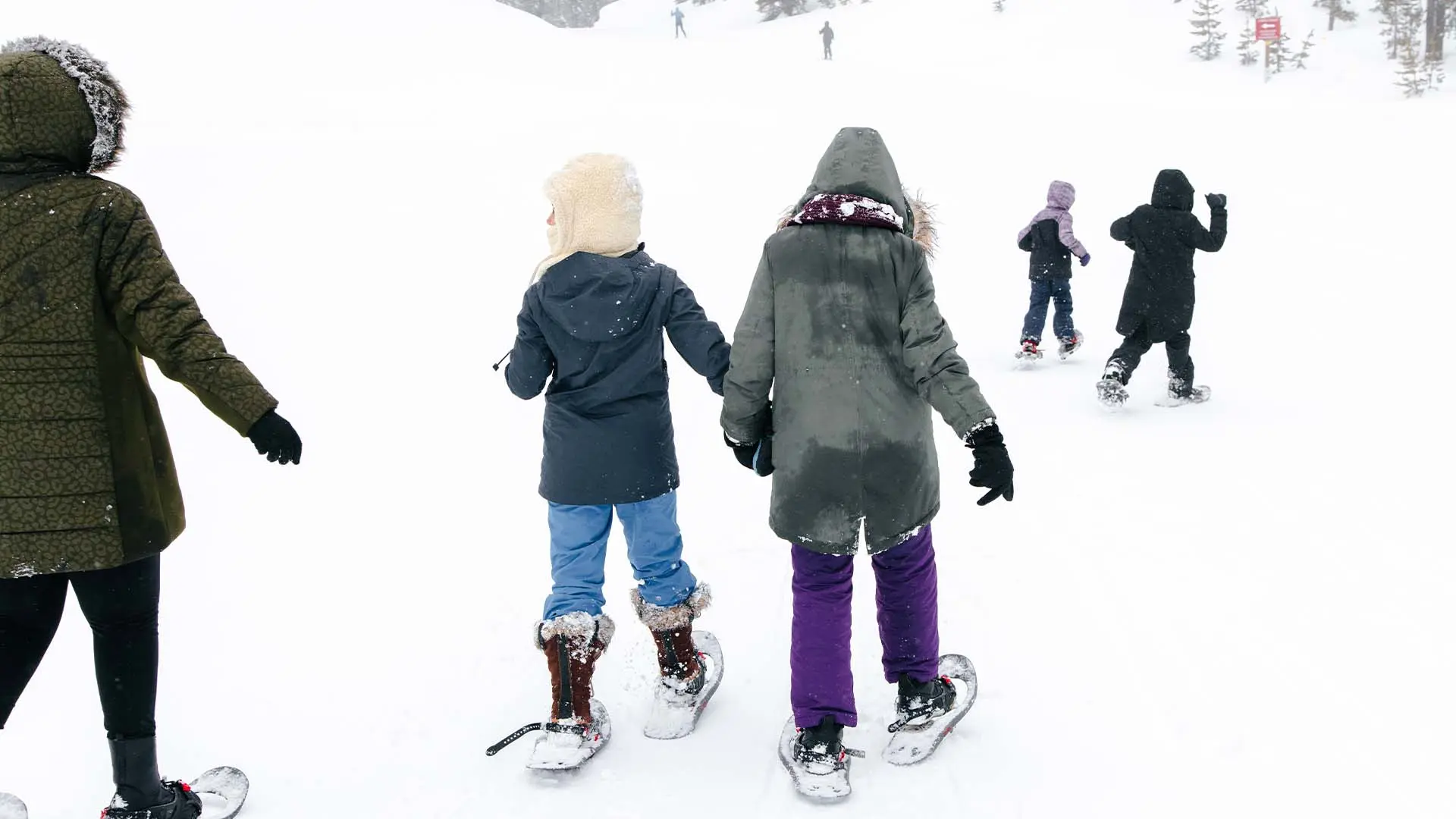 Snowshoeing on Mt. Bachelor Nordic trails.
