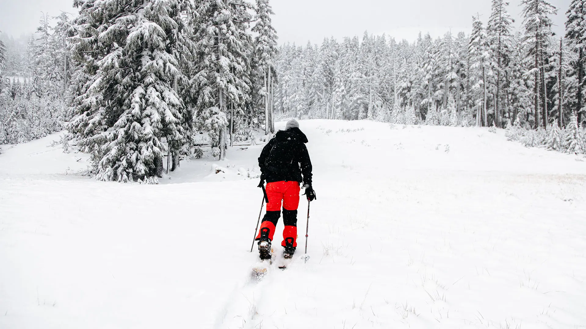 Snowshoeing at Mt. Bachelor.