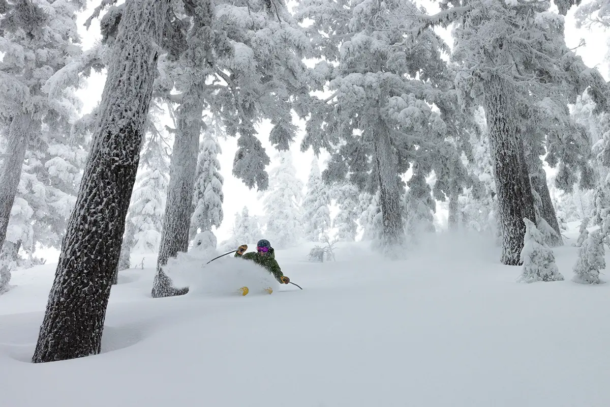 Skier riding through trees on a powder day at Mt. Bachelor.